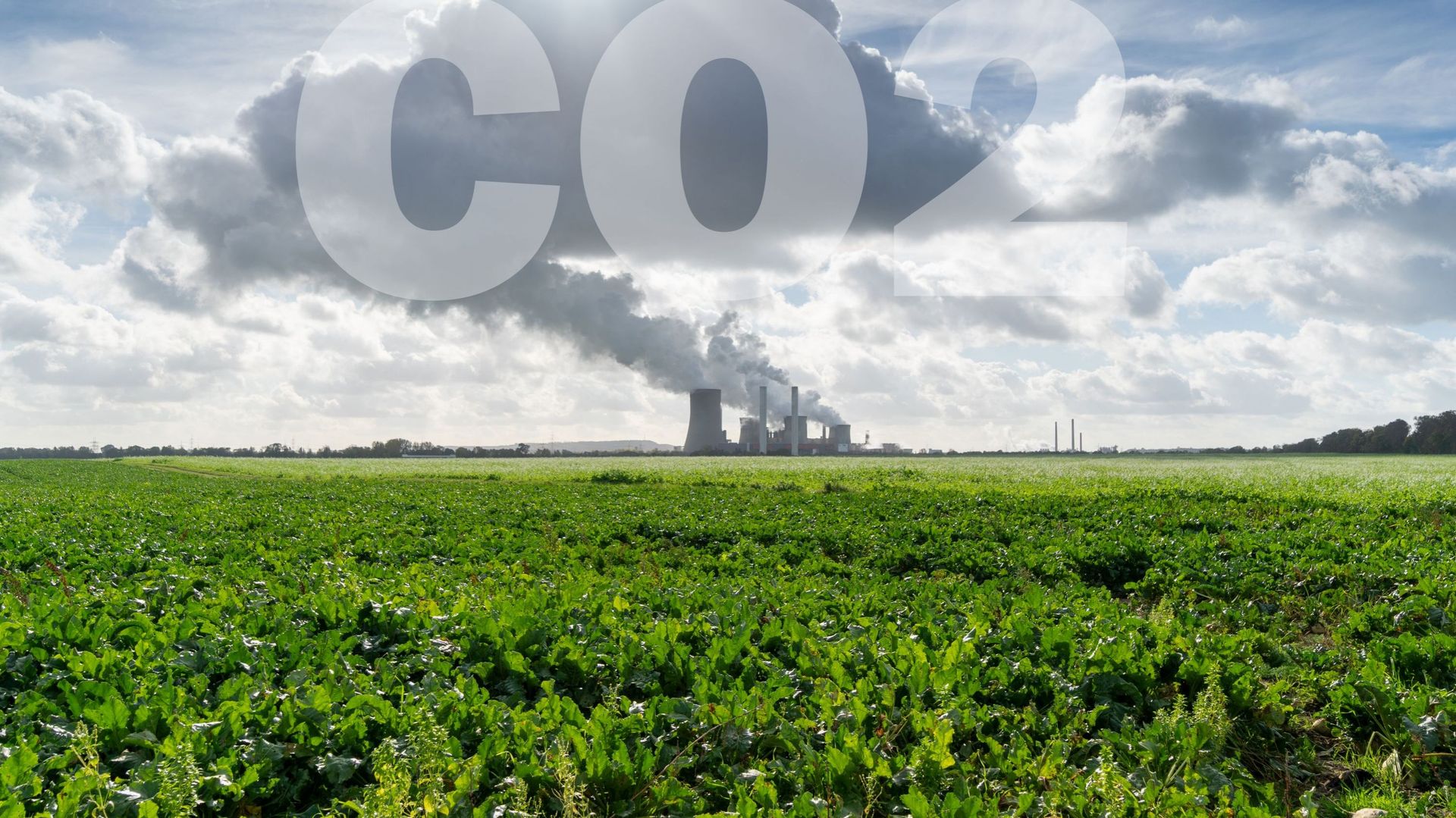 découvrez comment atteindre l'objectif de +1,5 °c pour lutter contre le changement climatique. explorez des stratégies, des initiatives et des solutions innovantes pour réduire notre empreinte carbone et préserver notre planète pour les générations futures.