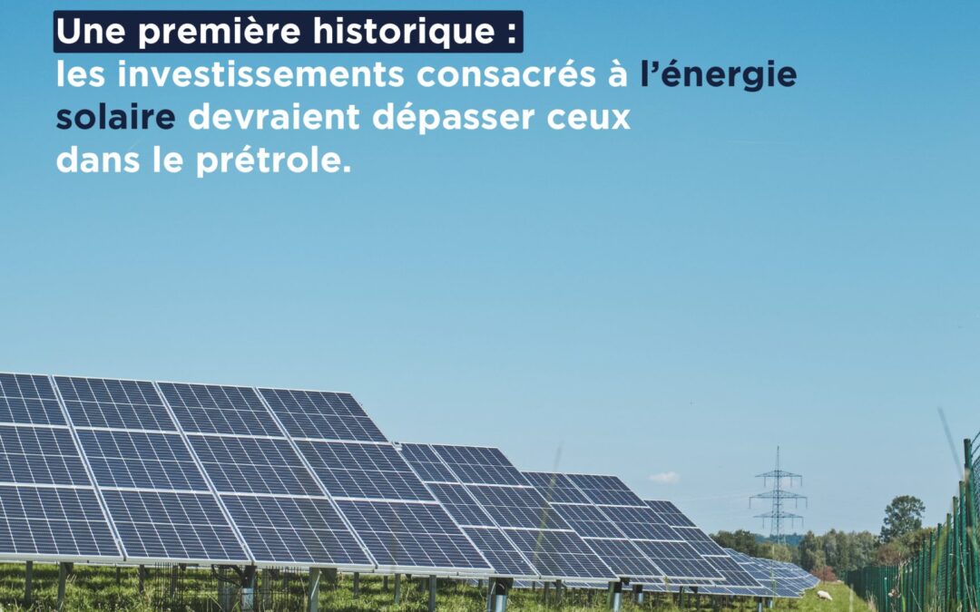 découvrez les opportunités d'investissements dans l'énergie solaire. maximisez vos rendements tout en contribuant à une planète plus verte grâce à des solutions durables et innovantes.