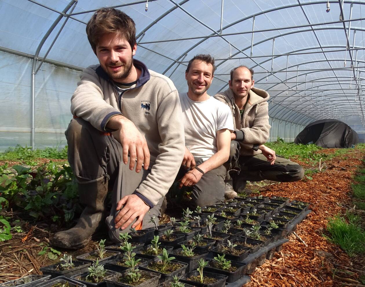 découvrez les meilleures solutions pour financer la construction ou l'achat de votre hangar. obtenez des conseils pratiques, des options de crédit et des aides financières adaptées à vos besoins.