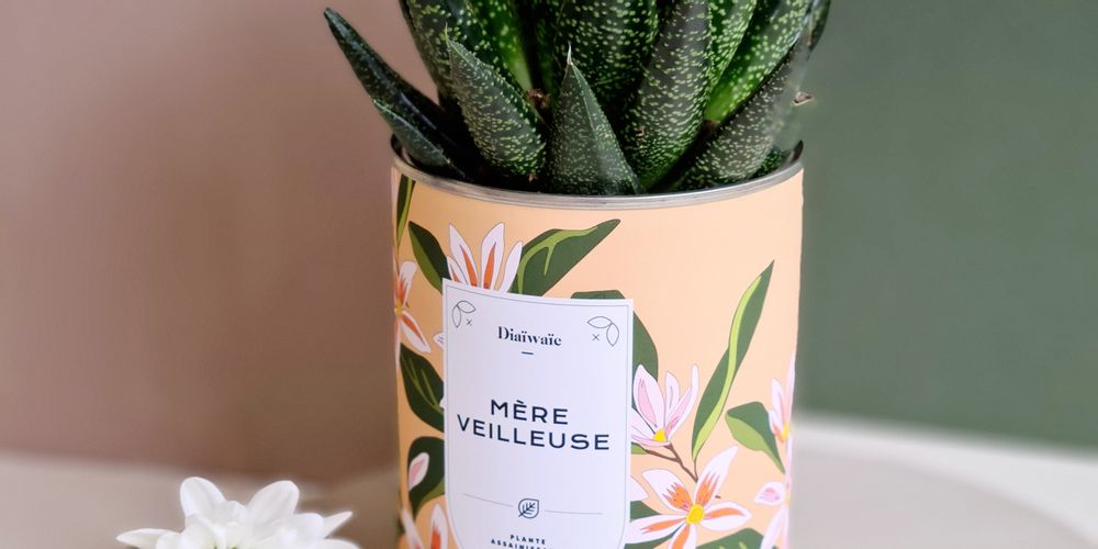 découvrez les pratiques éthiques de soleiléthique, une approche responsable et durable qui valorise l'éthique dans tous les aspects de la vie quotidienne. engagez-vous pour un monde meilleur grâce à des choix éclairés et des actions concrètes.