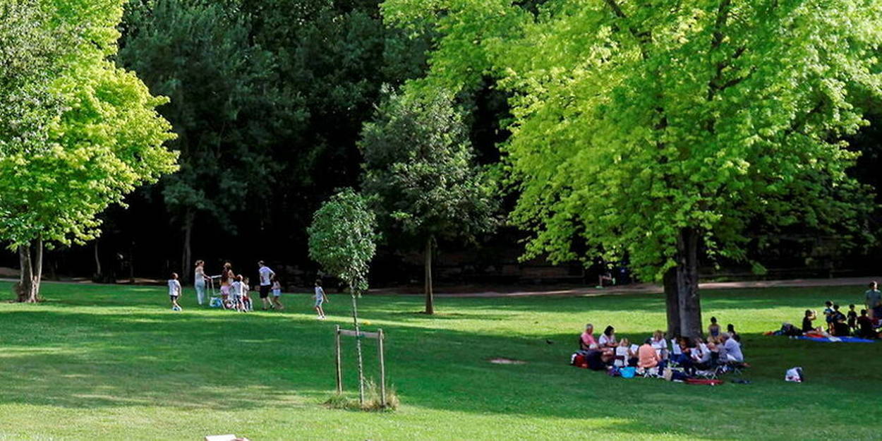 découvrez des initiatives éco-responsables à aix-en-provence, alliant respect de l'environnement et qualité de vie. explorez des projets durables, des entreprises locales engagées et des événements qui prônent la préservation de notre planète. rejoignez le mouvement pour un avenir plus vert !