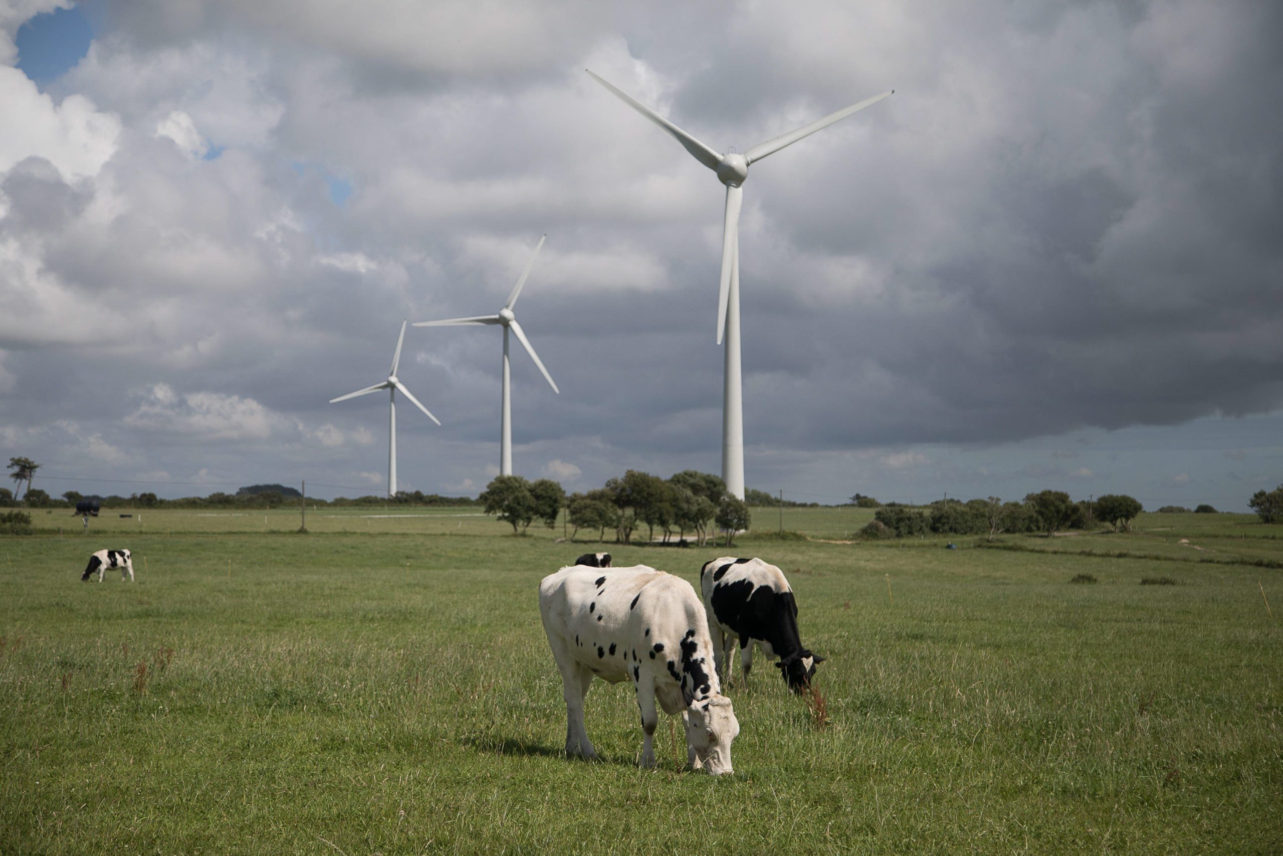 découvrez les acteurs de l'énergie verte en maine-et-loire, engagés dans la transition énergétique et le développement durable. informez-vous sur les initiatives locales, les projets innovants et les solutions écologiques pour une consommation responsable et respectueuse de l'environnement.