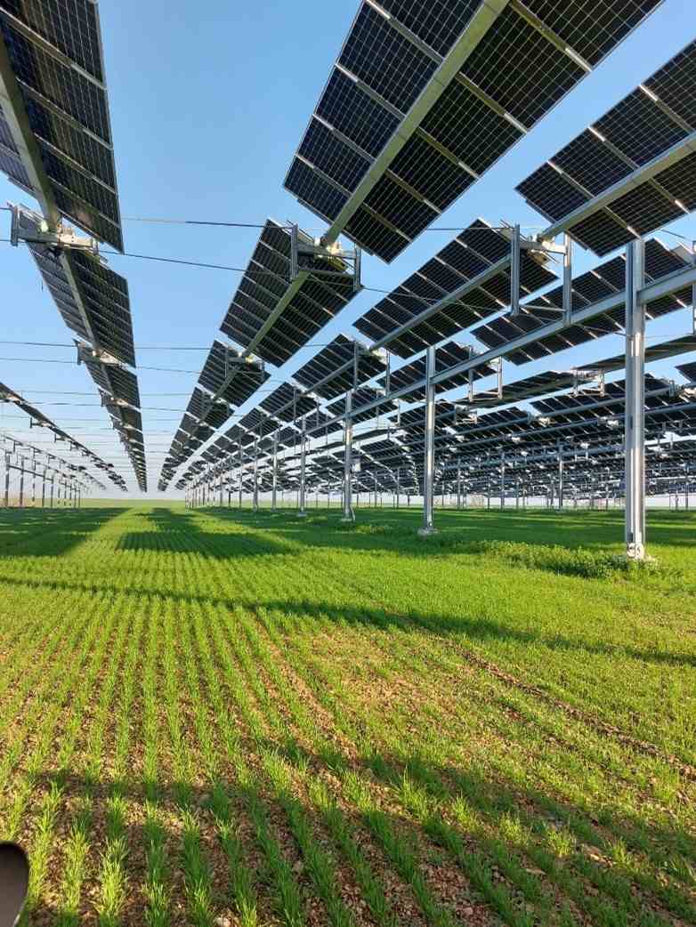 découvrez comment installer des panneaux photovoltaïques en bourgogne pour profiter d'une énergie renouvelable et réduire vos factures d'électricité. informez-vous sur les étapes, les aides disponibles et les meilleures pratiques pour une installation réussie.