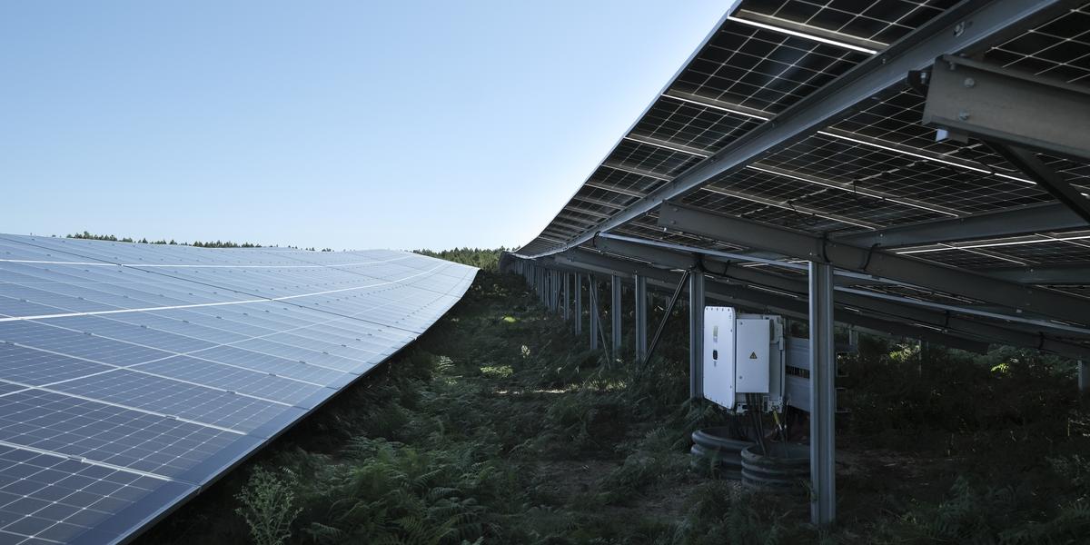 découvrez notre service d'installation de panneaux photovoltaïques en dordogne. profitez d'une énergie propre et renouvelable tout en réalisant des économies sur vos factures d'électricité. contactez-nous pour un devis personnalisé et faites le choix d'une solution écologique et durable.