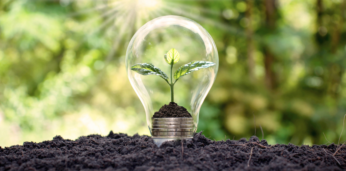 découvrez les énergies renouvelables, des solutions innovantes et durables pour un avenir respectueux de l'environnement. apprenez comment ces sources d'énergie contribuent à réduire les émissions de co2 et à lutter contre le changement climatique.