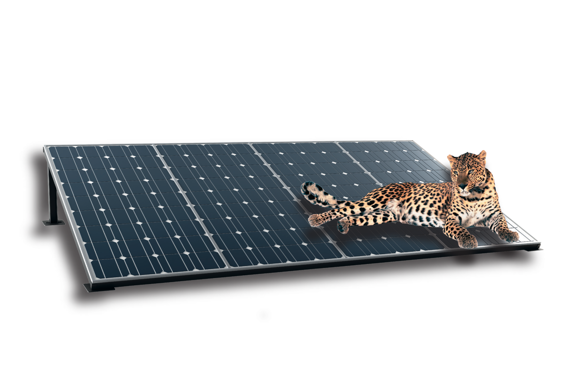 découvrez les meilleures solutions de panneaux photovoltaïques dans l'yonne pour produire de l'énergie verte et réduire vos factures d'électricité. profitez de conseils d'experts et d'installations adaptées à vos besoins.