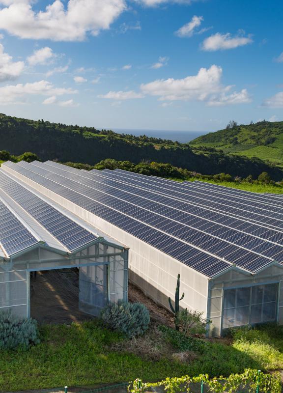 découvrez les dernières avancées en matière d'innovation photovoltaïque, transformant l'énergie solaire en une solution durable et efficace. explorez les technologies émergentes, les applications pratiques et les avantages environnementaux de cette source d'énergie renouvelable.