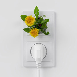 découvrez le processus de redressement judiciaire de planète oui, une étape cruciale pour la pérennité de l'entreprise. informez-vous sur les enjeux, les démarches à suivre et les impacts sur les employés et les clients.