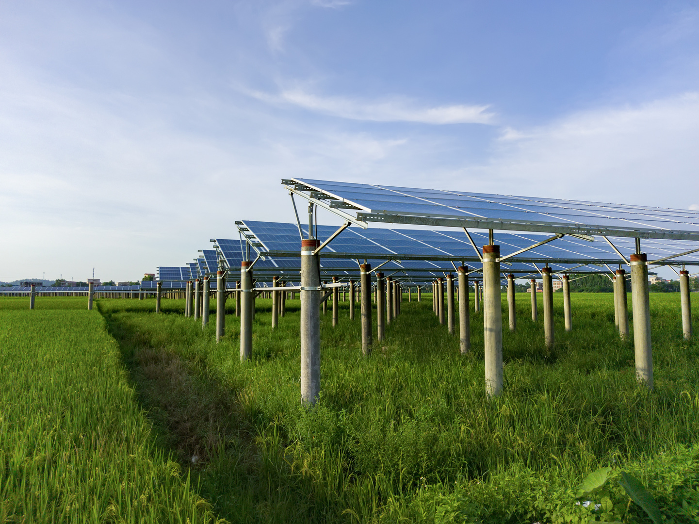 découvrez nos services d'installation photovoltaïque en sarthe. profitez d'une énergie renouvelable et économisez sur vos factures d'électricité tout en préservant l'environnement grâce à nos solutions sur-mesure et notre expertise locale.