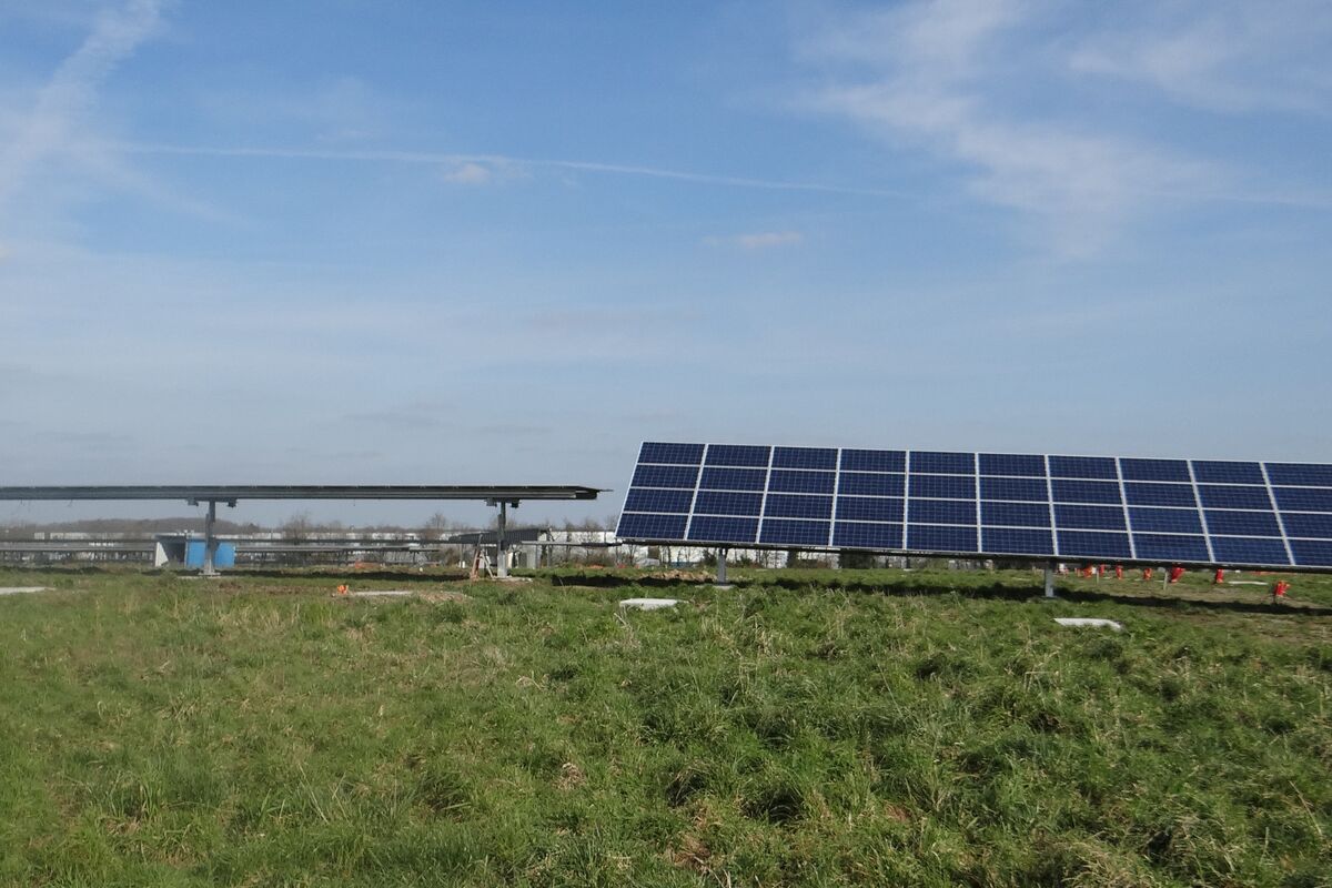 découvrez nos services d'installation de panneaux photovoltaïques en vendée. profitez d'une énergie renouvelable, réduisez vos factures d'électricité et contribuez à la protection de l'environnement avec nos solutions sur mesure.