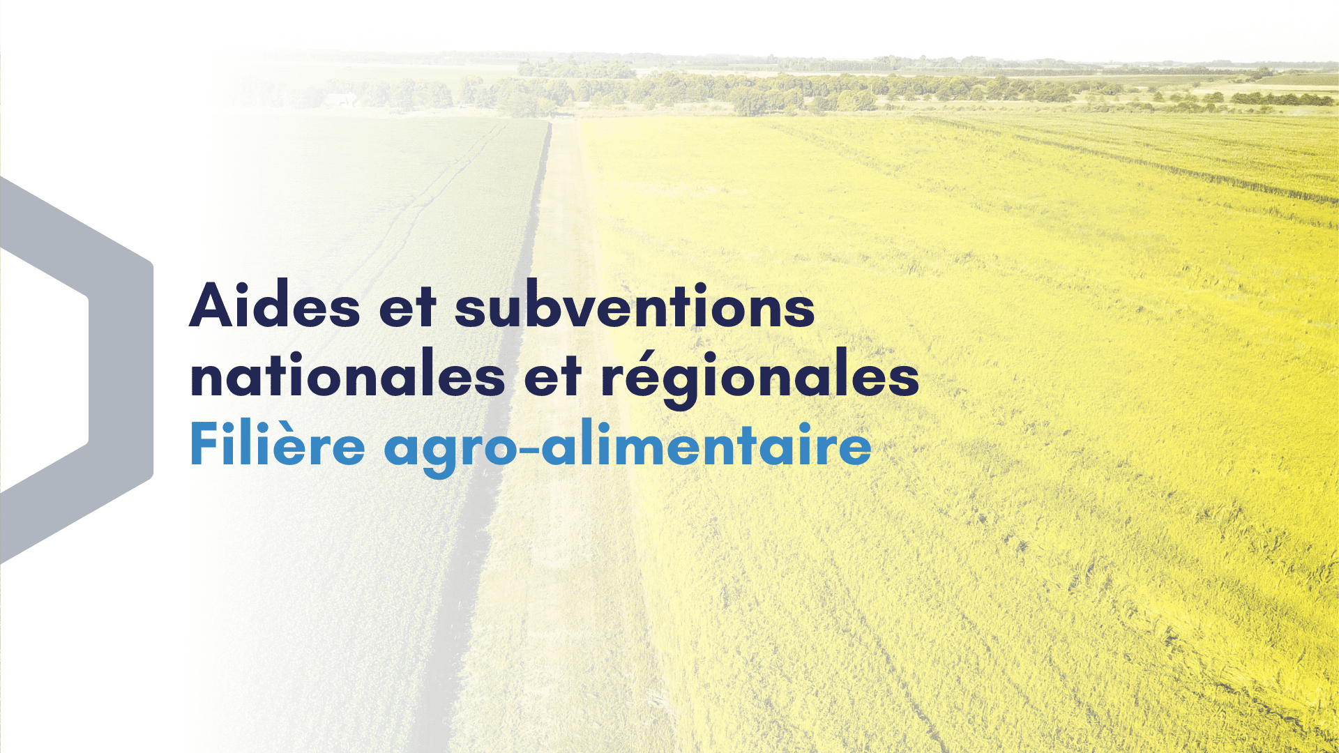 découvrez les différentes aides régionales disponibles pour soutenir vos projets et initiatives. profitez des subventions, des financements et des ressources offertes par votre région pour favoriser le développement économique et social.