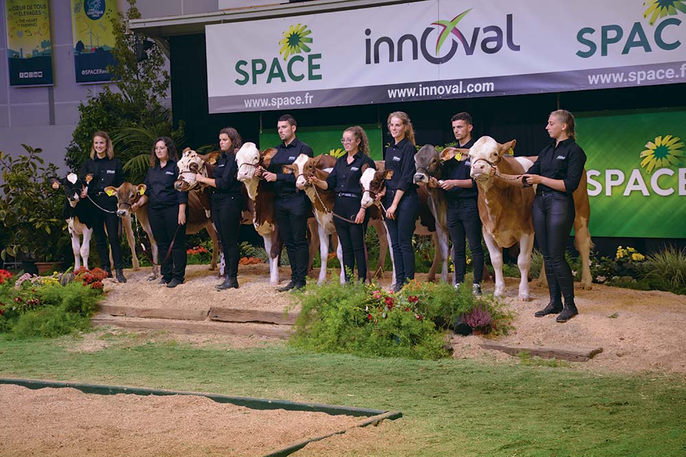 découvrez les escales solaires à poullaouen, une expérience unique où nature et énergie solaire se rencontrent. profitez d'ateliers, de démonstrations et de visites immersives qui mettent en lumière l'importance des énergies renouvelables dans un cadre enchanteur.