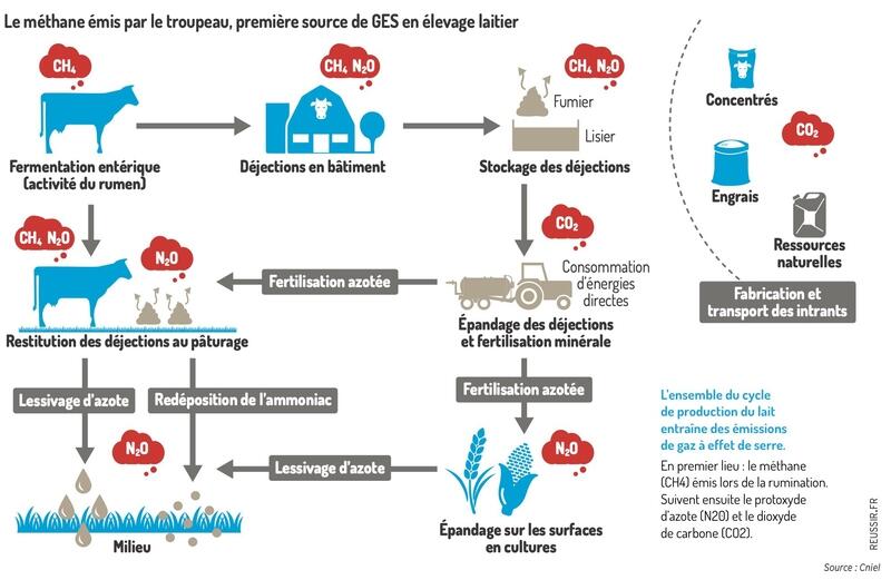 découvrez comment réduire votre empreinte carbone grâce à des actions simples et efficaces. adoptez des pratiques durables et contribuez à un avenir plus vert pour notre planète.