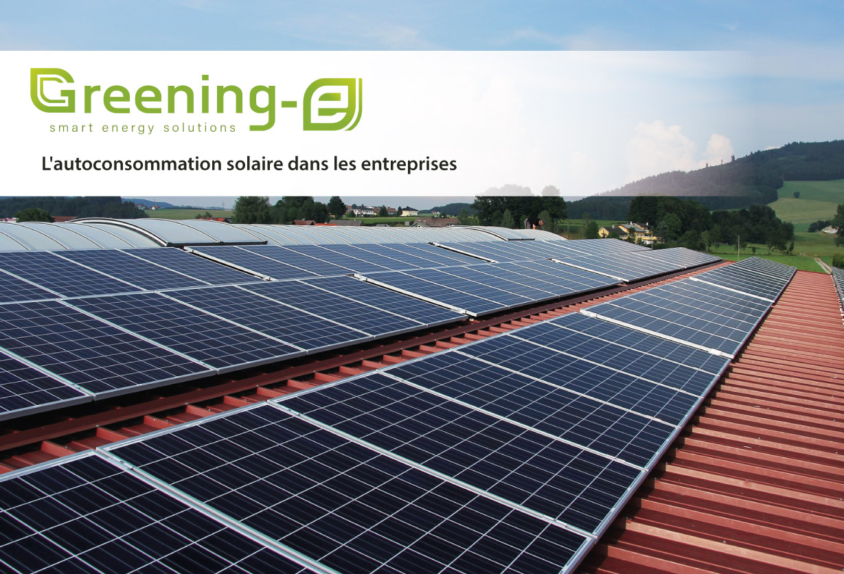 découvrez les avantages de l'autoconsommation électrique, une solution innovante pour réduire vos factures d'énergie et adopter un mode de vie plus durable. apprenez à produire et utiliser votre propre électricité grâce à des systèmes solaires adaptés à vos besoins.