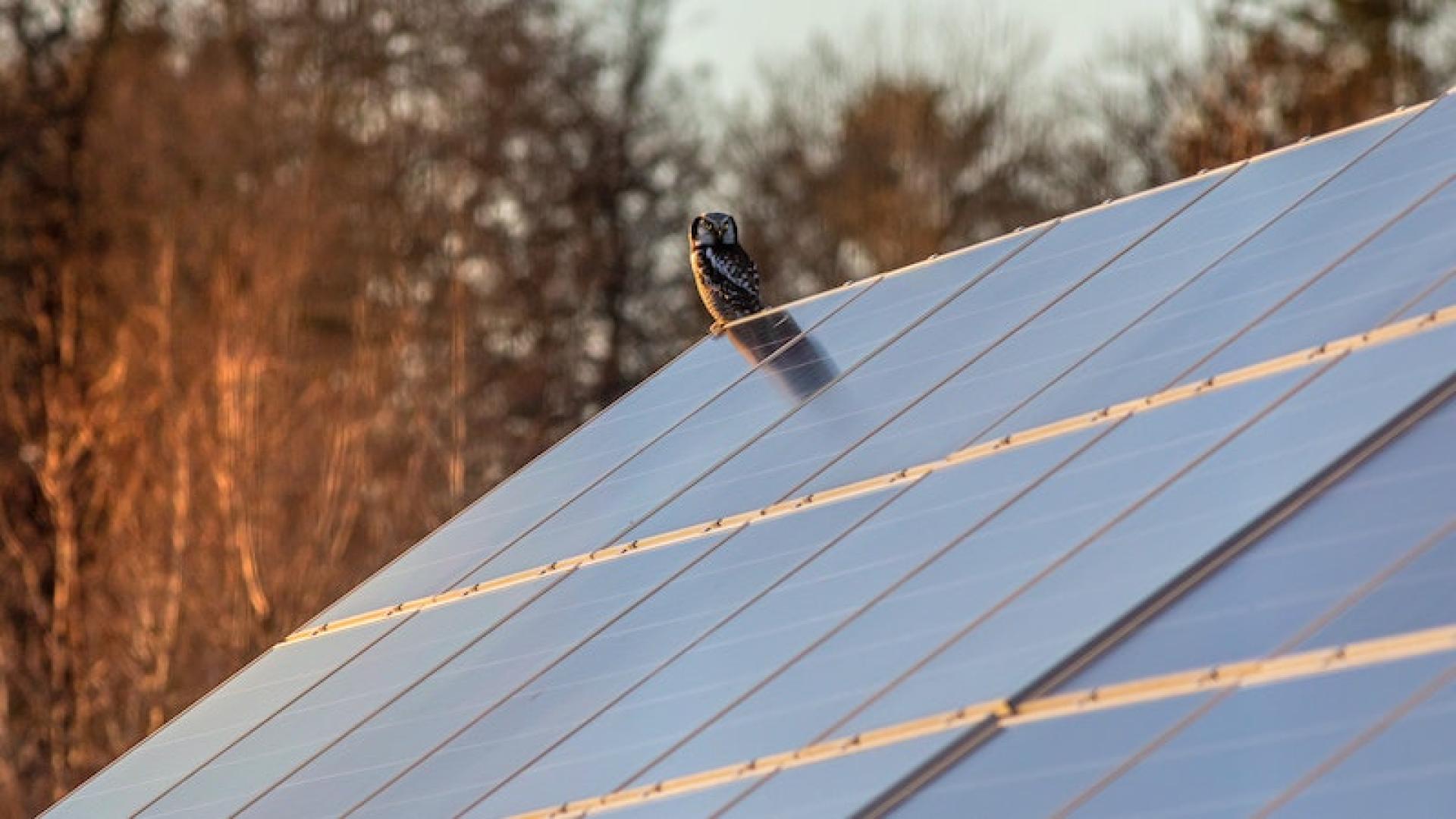 découvrez les nombreux avantages de l'énergie solaire, une source d'énergie renouvelable qui permet de réduire vos factures d'électricité, de contribuer à la protection de l'environnement et de garantir une indépendance énergétique. optez pour une solution durable et économique avec l'énergie solaire.
