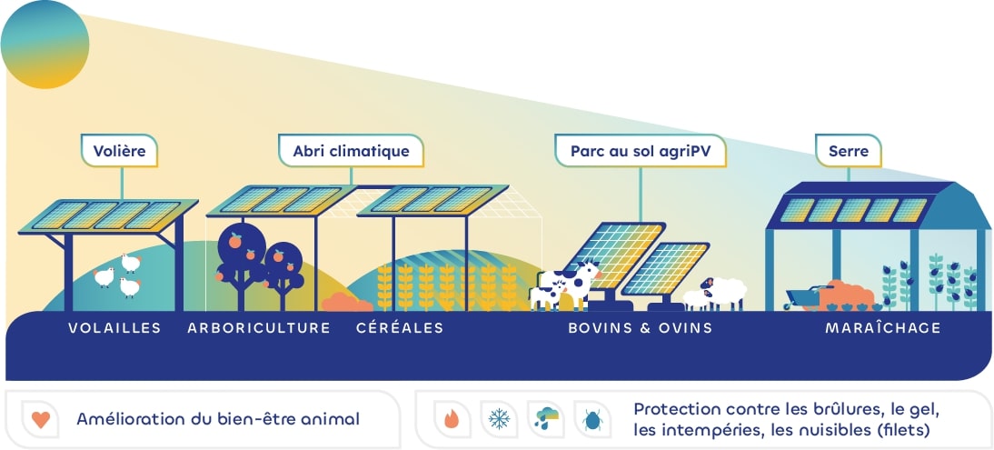 découvrez les avantages des panneaux photovoltaïques : une solution écologique pour réduire vos factures d'électricité, profiter d'une énergie renouvelable et augmenter la valeur de votre propriété tout en contribuant à la protection de l'environnement.