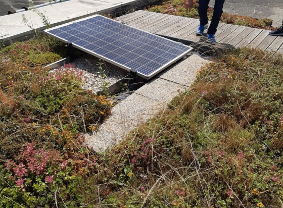 découvrez les nombreux avantages des panneaux photovoltaïques à paris : économie d'énergie, réduction de votre empreinte carbone, valorisation de votre bien immobilier et aides financières. optez pour une énergie renouvelable et contribuez à un avenir plus durable dans la capitale.