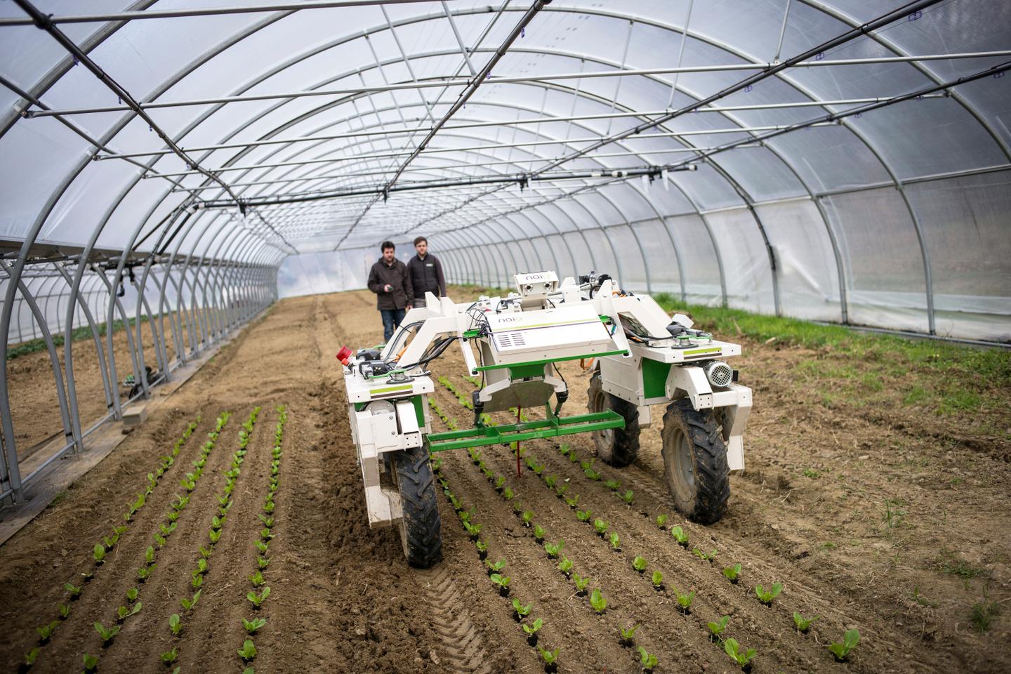 découvrez comment l'innovation et les nouvelles technologies transforment l'avenir de l'industrie des produits agricoles. explorez les tendances, les défis et les opportunités qui façonneront la production alimentaire de demain.