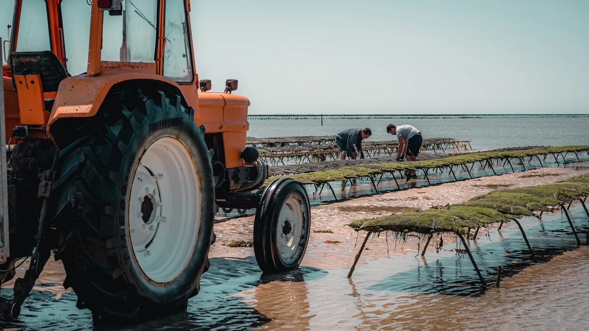 découvrez les tendances émergentes et les innovations qui façonnent l'avenir de l'industrie des produits agricoles. explorez comment la technologie, la durabilité et les pratiques agricoles modernes transforment ce secteur vital pour répondre aux défis alimentaires mondiaux.