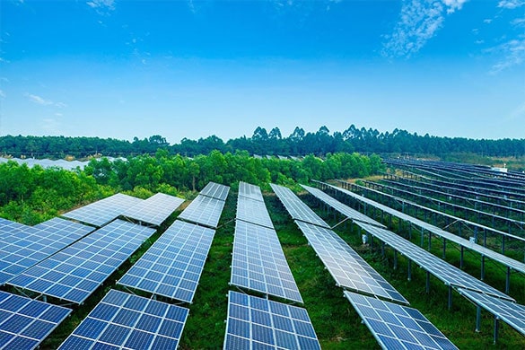 découvrez l'avenir des panneaux photovoltaïques : innovations, durabilité et impact environnemental. informez-vous sur les technologies émergentes et les tendances prometteuses qui transforment la production d'énergie solaire pour un monde plus vert.