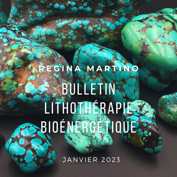 découvrez le monde fascinant de la bioénergie en 2023. explorez les dernières avancées technologiques, les applications durables et les stratégies innovantes qui transforment la production d'énergie. plongez dans les enjeux environnementaux et l'impact de la bioénergie sur notre avenir.