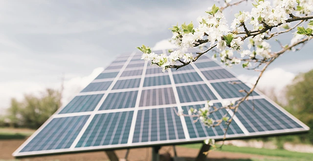 découvrez comment établir un budget efficace pour l'installation de panneaux solaires. apprenez à évaluer les coûts, à optimiser votre investissement et à bénéficier d'économies d'énergie tout en protégeant l'environnement.