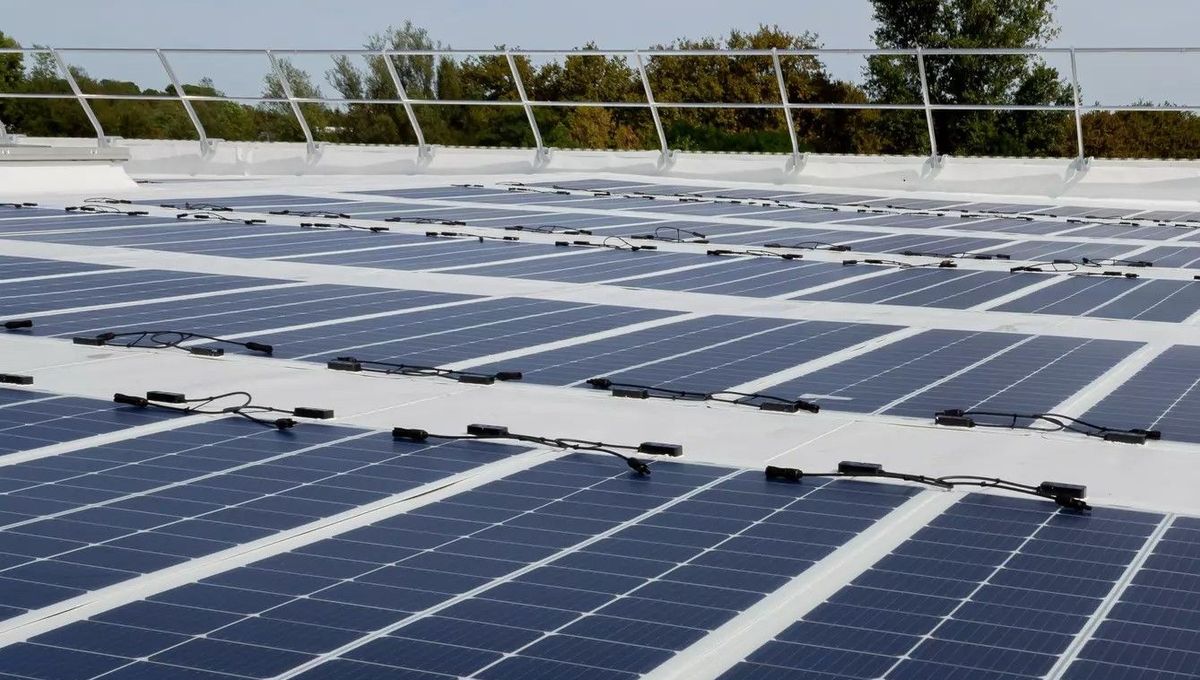 découvrez comment choisir le meilleur installateur de panneaux photovoltaïques en seine-maritime. obtenez des conseils pratiques pour sélectionner un professionnel qualifié et maximiser l'impact de votre investissement dans les énergies renouvelables.