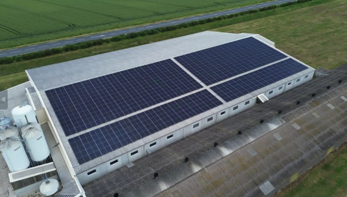 découvrez comment choisir le meilleur installateur photovoltaïque à roanne pour optimiser votre production d'énergie solaire. profitez de conseils pratiques pour sélectionner un expert qualifié qui répondra à vos besoins.