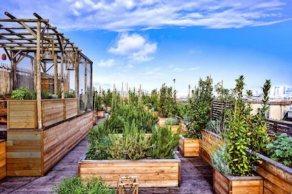 découvrez le coliving éco, une solution d'habitat partagé alliant confort, durabilité et esprit communautaire. vivez en harmonie avec l'environnement tout en tissant des liens enrichissants avec vos colocataires.