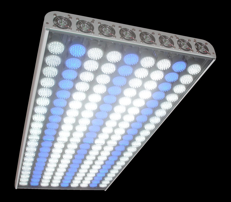 découvrez notre comparatif éclairage complet pour choisir la meilleure solution d'éclairage adaptée à vos besoins. comparez les types de lampes, les technologies, les performances et les prix pour éclairer votre intérieur ou extérieur de manière efficace et économique.