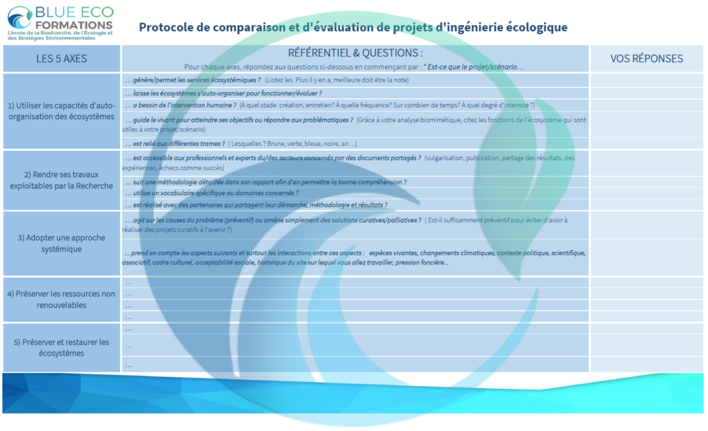 découvrez notre comparatif des options écologiques pour faire des choix responsables et durables. comparez les produits respectueux de l'environnement et trouvez la solution qui correspond à vos besoins tout en préservant la planète.