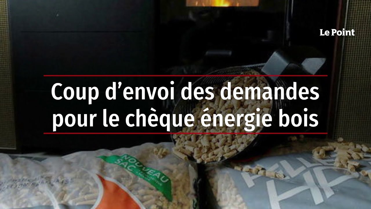 découvrez comment faire une demande de chèque énergie fioul pour alléger vos factures d'énergie. profitez de cette aide financière pour utiliser le fioul domestique de manière plus économique et écologique. obtenez toutes les informations nécessaires sur les critères d'éligibilité et le processus de demande.