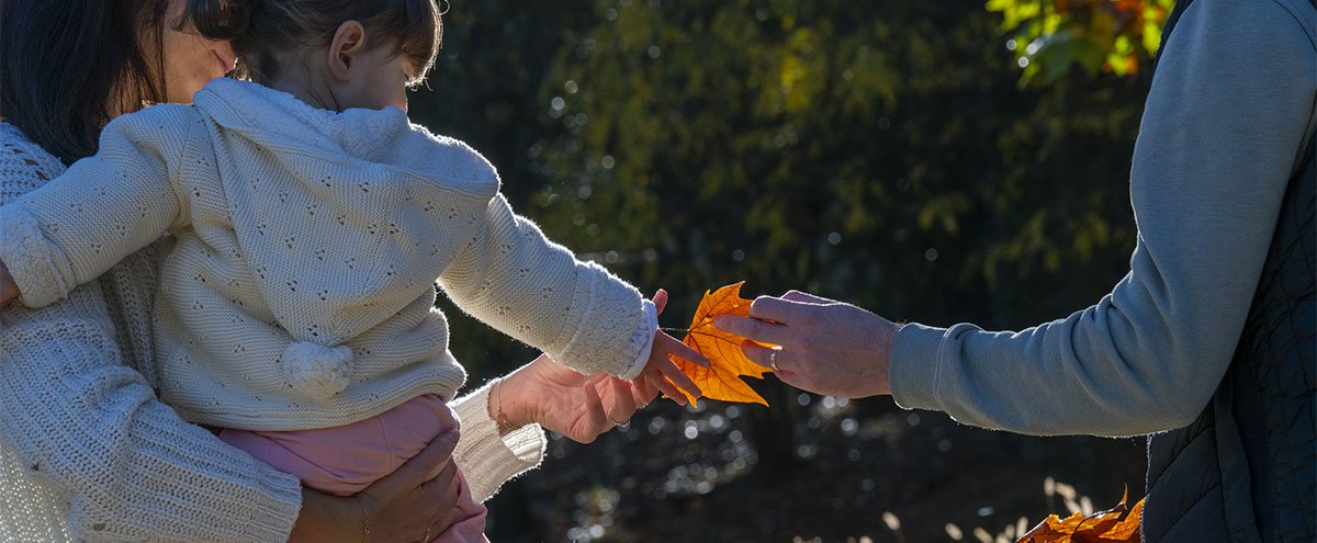 découvrez nos initiatives éco-responsables à aix-en-provence, où nous allions respect de l'environnement et développement durable. explorez nos actions pour un avenir plus vert dans cette magnifique ville.