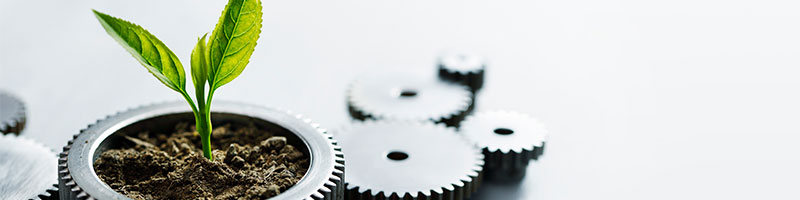 découvrez les écoinnovations durables qui transforment notre avenir en alliant technologie et respect de l'environnement. explorez des solutions innovantes pour un développement durable.