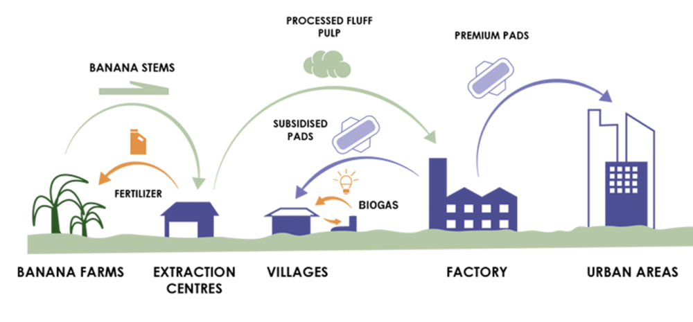 découvrez les écoinnovations durables qui transforment notre avenir. explorez des solutions écologiques et innovantes pour un développement durable, tout en préservant notre planète.