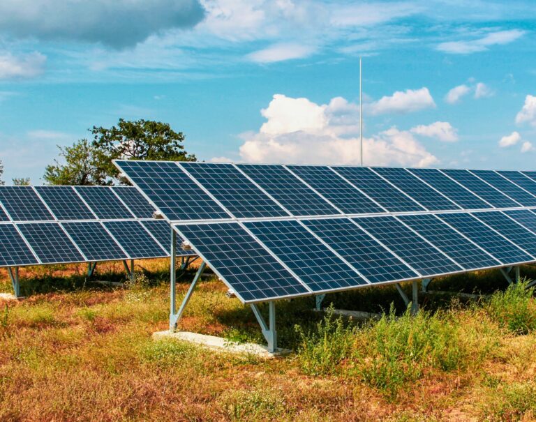 découvrez les écosystèmes solaires, un monde fascinant où la lumière du soleil joue un rôle clé dans la régulation des êtres vivants et des processus naturels. plongez dans l'étude des interactions complexes entre les organismes, l'énergie solaire et l'environnement pour mieux comprendre l'équilibre fragile de notre planète.