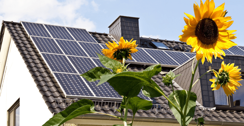 découvrez l'importance cruciale de l'emplacement des panneaux photovoltaïques pour optimiser la production d'énergie solaire. apprenez à choisir les meilleurs emplacements pour maximiser l'exposition au soleil et améliorer l'efficacité de votre installation.