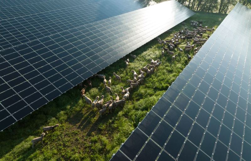 découvrez les solutions d'énergie solaire proposées par edf, leader en matière d'énergie renouvelable. maximizez votre autonomie énergétique tout en contribuant à la protection de l'environnement grâce à des installations solaires adaptées à vos besoins.