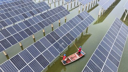 découvrez comment l'énergie solaire se positionne comme une solution majeure face aux crises énergétiques mondiales. explorez les enjeux, les avantages et l'impact de l'énergie renouvelable sur notre avenir.