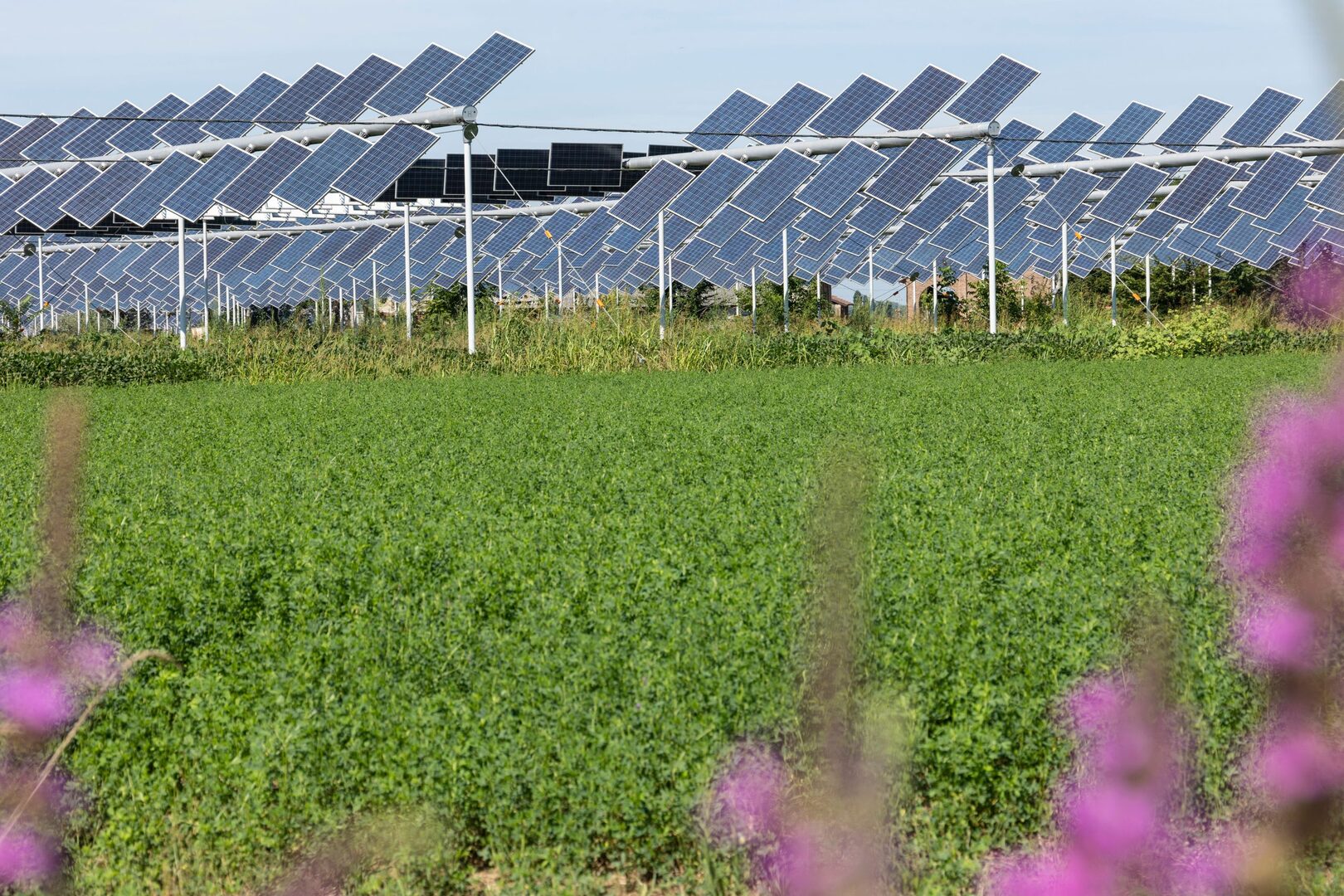 découvrez comment l'énergie solaire transforme les pratiques agricoles et favorise une culture durable. explorez les techniques innovantes qui allient production énergétique et préservation de l'environnement.