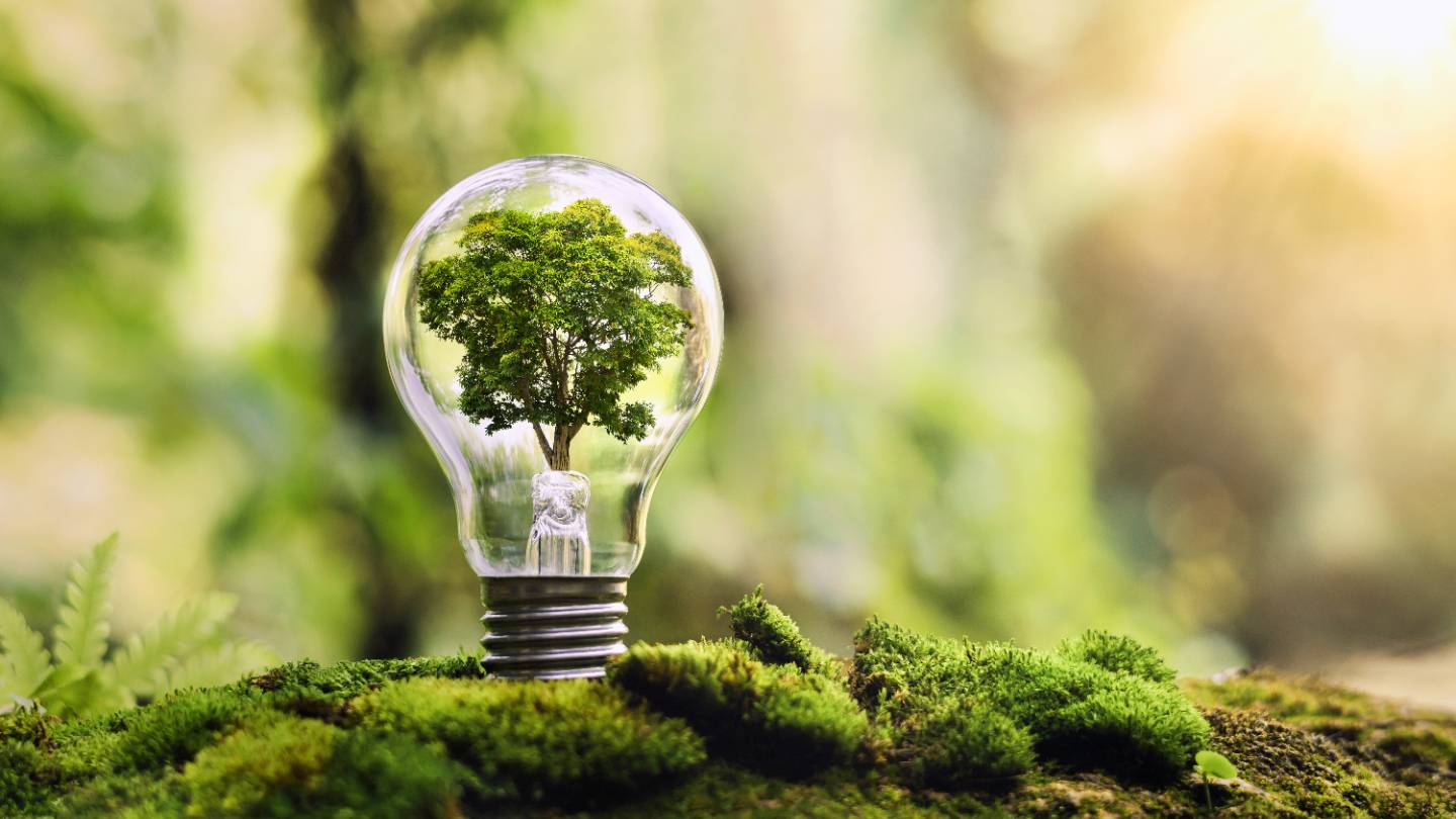 découvrez les enjeux de l'énergie verte et les risques de greenwashing dans notre analyse approfondie. apprenez à distinguer les véritables initiatives écologiques des pratiques marketing trompeuses et engagez-vous pour un avenir durable.