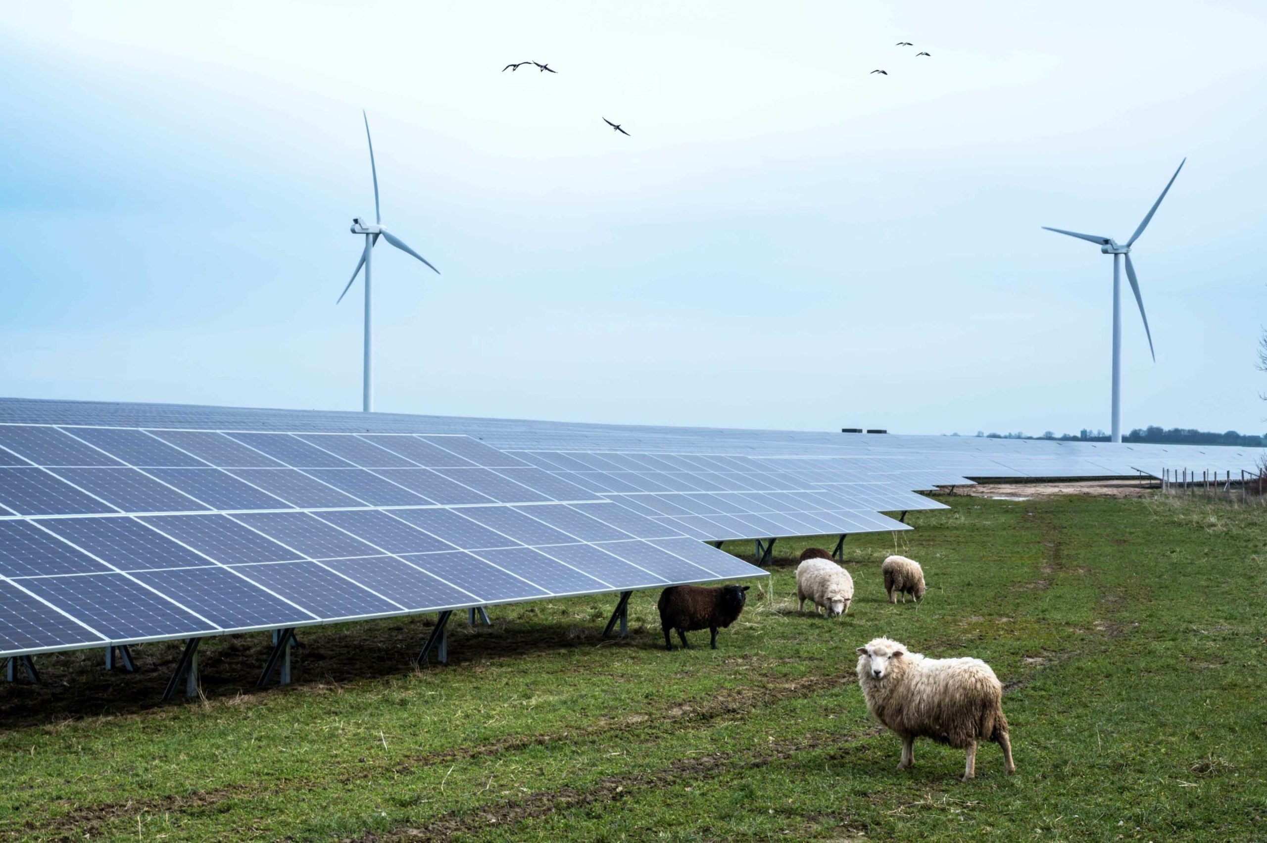 découvrez notre entreprise spécialisée dans les énergies renouvelables. nous proposons des solutions innovantes et durables pour vous aider à réduire votre empreinte carbone tout en profitant d'une énergie propre et respectueuse de l'environnement.