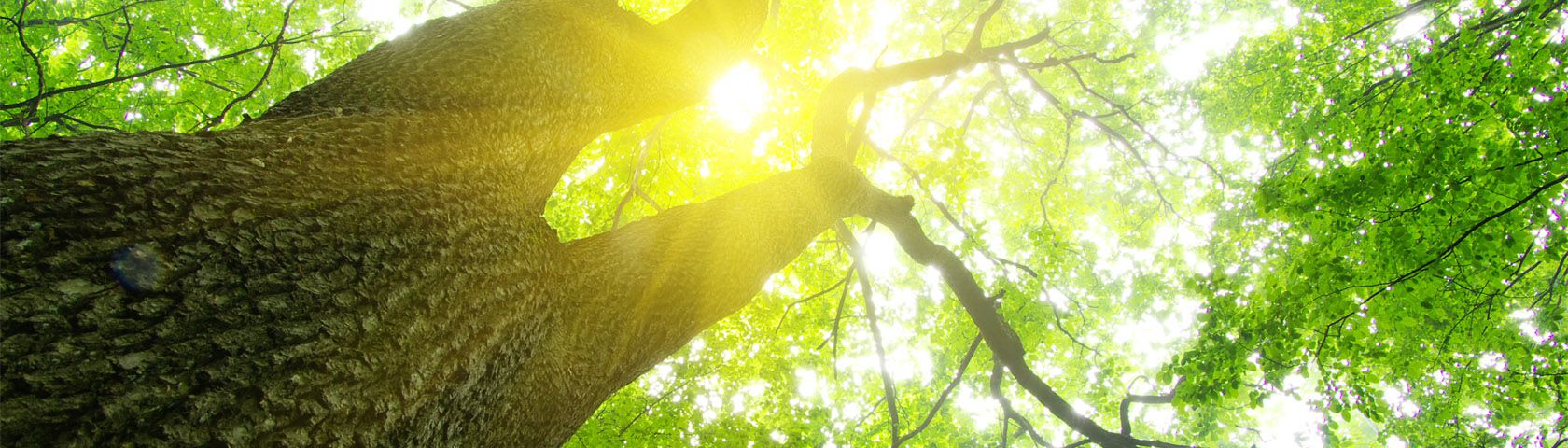 découvrez des stratégies efficaces pour éviter la taxe prosumer et optimiser votre investissement dans les énergies renouvelables. profitez au maximum de votre production d'électricité tout en réduisant vos coûts.