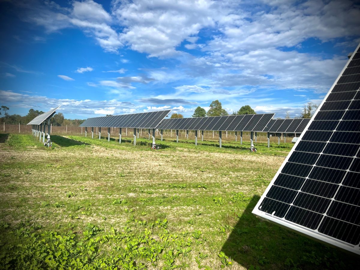 découvrez nos experts en panneaux photovoltaïques dans les landes. profitez de conseils personnalisés, d'une installation de qualité et d'une transition vers les énergies renouvelables maîtrisée. transformez votre consommation d'énergie dès aujourd'hui !