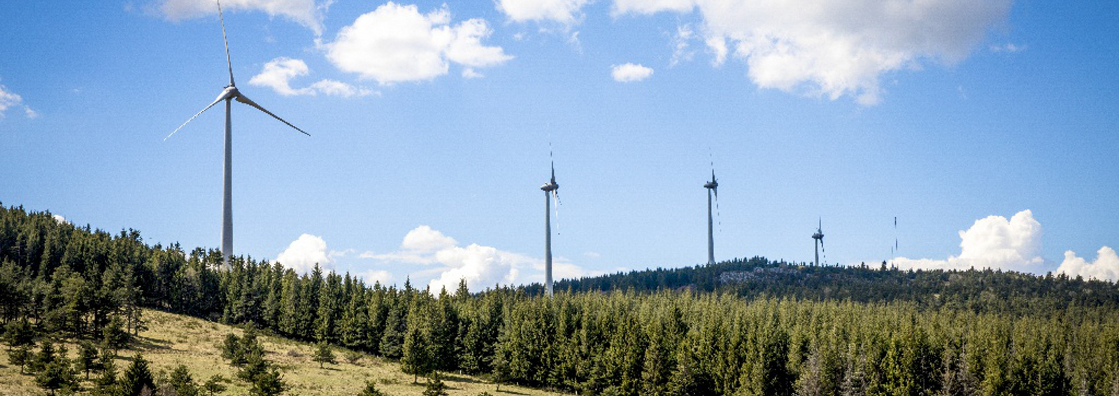 découvrez notre guide complet sur les énergies renouvelables, qui vous présente les différentes sources d'énergie verte, leurs avantages, ainsi que des conseils pratiques pour les intégrer dans votre quotidien. apprenez à réduire votre empreinte carbone tout en économisant sur vos factures d'énergie.