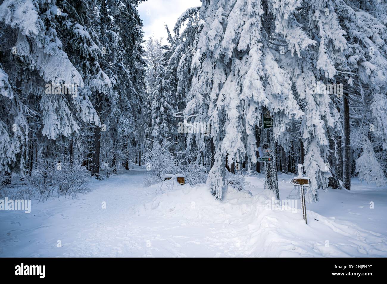 découvrez comment affronter l'hiver difficile avec nos conseils pratiques, astuces pour rester au chaud et stratégies pour surmonter les défis de cette saison rigoureuse.