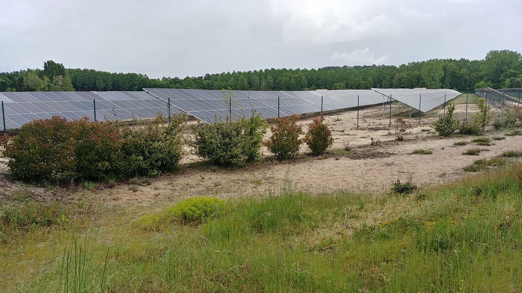découvrez l'impact des panneaux photovoltaïques sur l'environnement et l'économie. explorez comment ces systèmes de production d'énergie renouvelable contribuent à la réduction des émissions de carbone, à la baisse des factures d'électricité et à la création d'emplois dans le secteur durable.