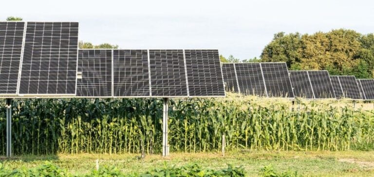 découvrez notre service d'installateur photovoltaïque dans les landes. profitez d'une énergie solaire propre et économique pour votre maison ou entreprise, tout en bénéficiant d'un accompagnement personnalisé et de solutions sur mesure.