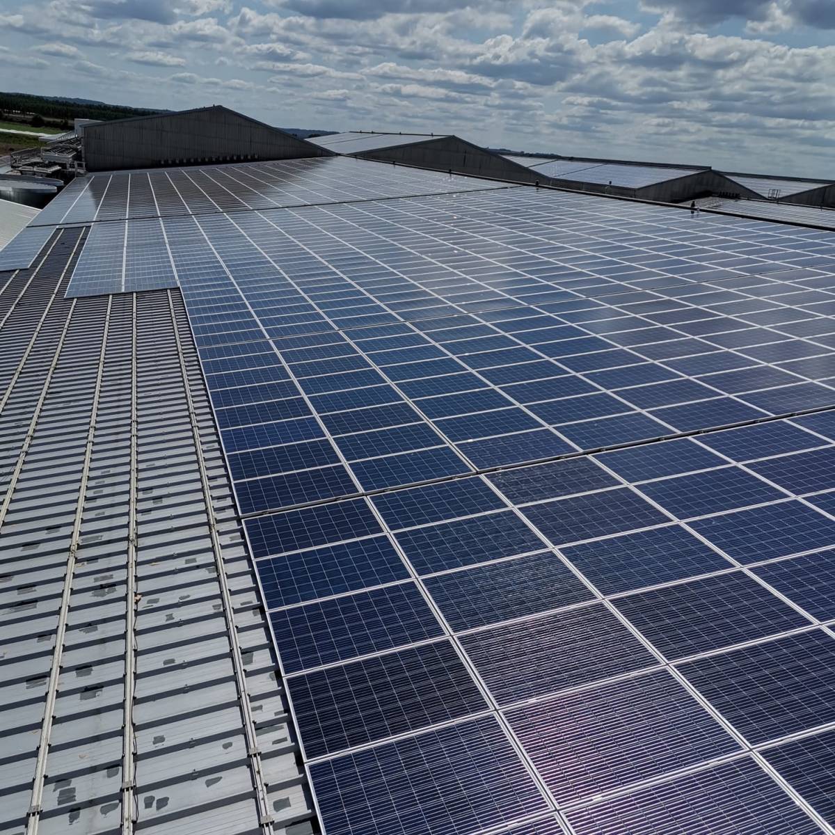 découvrez nos services d'installation de panneaux photovoltaïques à agen. profitez d'une énergie renouvelable et économique tout en contribuant à la protection de l'environnement. contactez nos experts pour un devis gratuit et personnalisé.