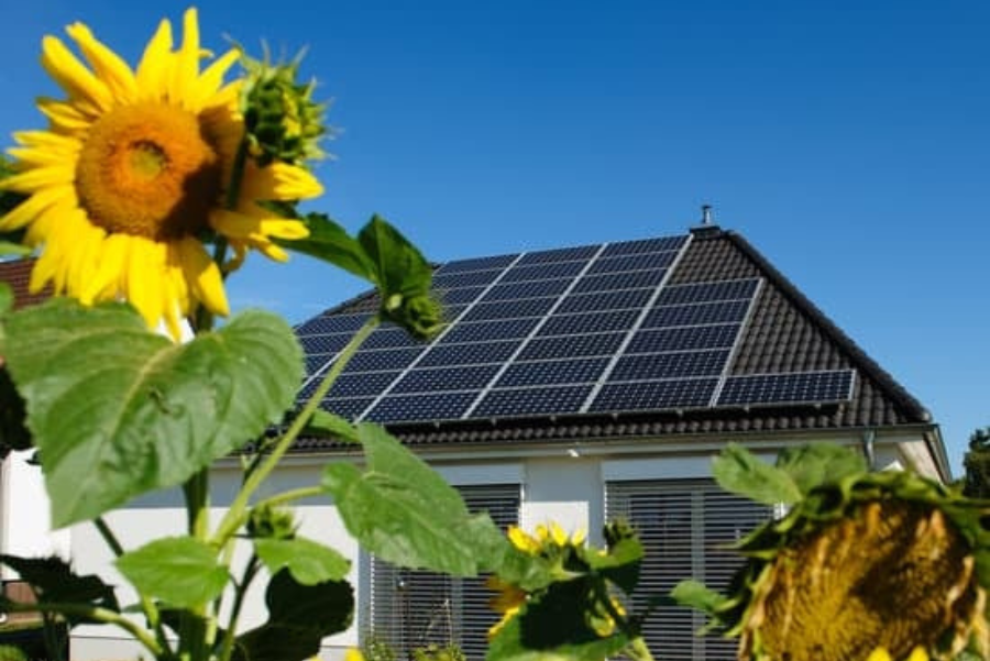 découvrez les services d'un installateur de panneaux photovoltaïques à montauban. profitez d'une énergie renouvelable et réduisez vos factures d'électricité tout en contribuant à la protection de l'environnement. contactez-nous dès maintenant pour un devis sur-mesure.